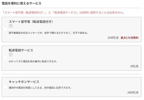 オプションのページ。無料の留守電サービスを検討している人は「転送電話サービス」にチェックしておく