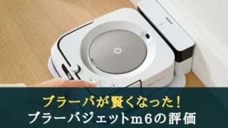 ブラーバジェットm6の評価