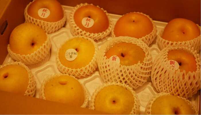 鳥取県北栄町へのふるさと納税でいただいた「梨」いろいろな種類があっておいしかった